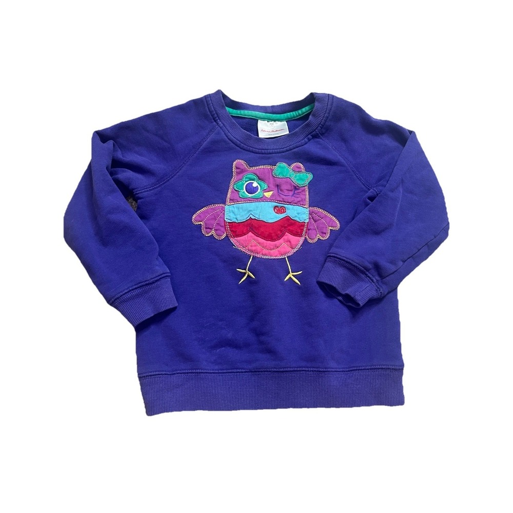 Hanna Andersson Girls Sweatshirt Long sleep Purple Owl Sz 4 100 Tee